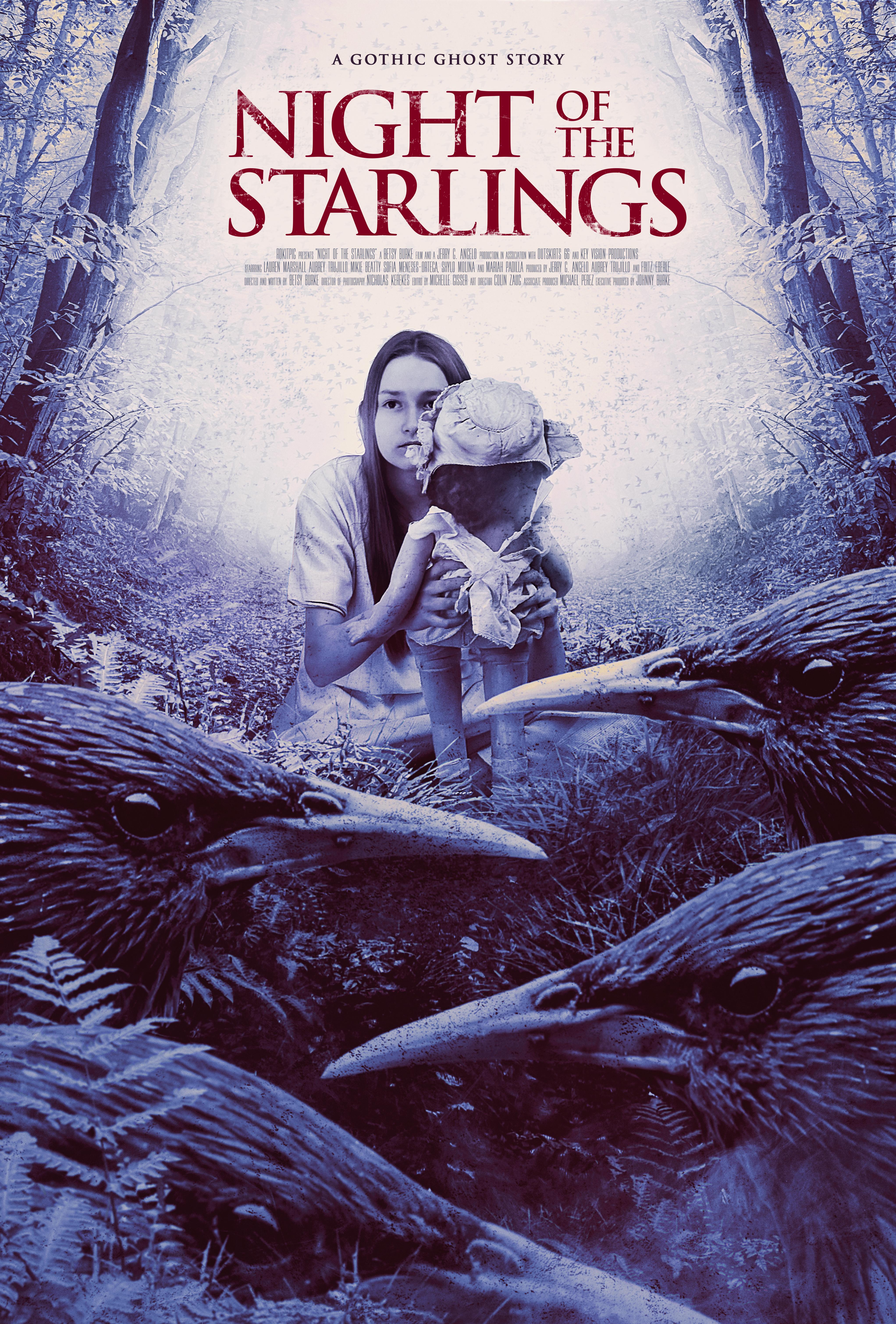 Night of the Starlings